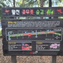 인제대역 부산방향 이미지