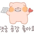 본레브호텔 이미지