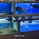 [ 건대입구 횟집 ] 현지 단골이 극찬한 숨은 맛집, 독도수산 솔직후기