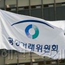 디딤돌의전