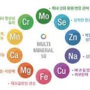 버썸버디짐 이미지