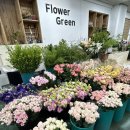 중도매인51호 이미지