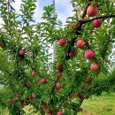 지인농장 이미지