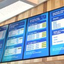 퀸스타운 스카이라인 곤돌라&amp;루지 후기
