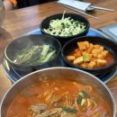 하림 펫 푸드 해피댄스 스튜디오 애견동반 공장투어 오후 투어 후기