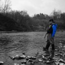 자연애캠핑장 이미지