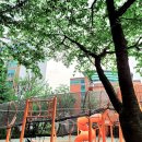 미나리어린이공원 이미지