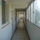 퀸스빌2 이미지