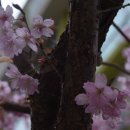 부산배화학교 이미지