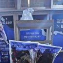 울릉도 기념품샵 영광상회에 가본 후기