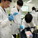 인천청호중학교 이미지