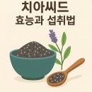 일일슈퍼 티스토리