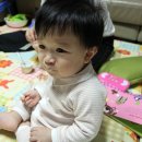 해쉼 이미지