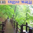 지리산 계곡 산청에서 마지막 물놀이 이미지