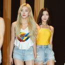 다원 이미지