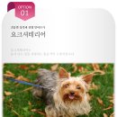거제동물메디컬센터 이미지