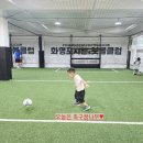 맘스터치 구포점 | 화명 포시즌 풋볼 클럽 화명동 키즈 축구 화명동 축구교실