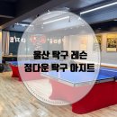 정다운탁구아지트
