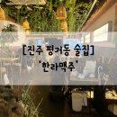 진주 평거동 제주 느낌 물씬 술집 ‘한라 맥주‘ 솔직후기