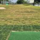 수목원파크 이미지