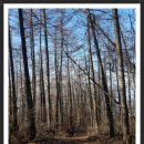 다솔민박 이미지