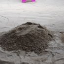 상영초교병설유치원 이미지