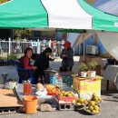 도리마을 숲 이미지