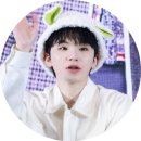 엘팝 이미지