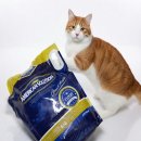 (주)아로펫 이미지