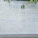 (주)키토텍 이미지