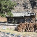 일직점곡로(일직면) 이미지