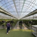 김해농장 | 김해 근교 딸기 농장 체험 후기