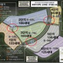 포레도레