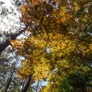 장항가든 이미지