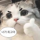 애사랑