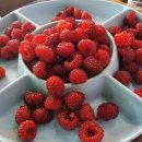 (주)굿먼데이