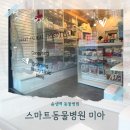 스마트동물병원 | 솔샘역 동물병원 스마트동물병원 미아 밤이가 디스크라니 .... 눈병인줄 알았는데 강아지 디스크 초기...