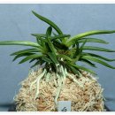 근광농장 이미지