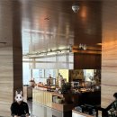 대륙사우나 | [중국 심천/선전] 그랜드 하얏트 선전 | 그랜드 하얏트 심천 (Grand Hyatt Shenzhen) 숙박 후기