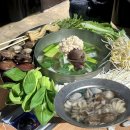 등대직화쭈꾸미 | 오이도 대물수산 제철 알쭈꾸미 샤브샤브 조개구이 맛집 솔직후기