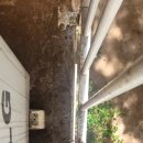 양주자이6단지 이미지