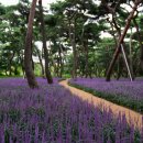 황산문화체육공원 이미지