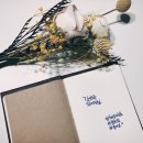 김앤박차이의원 이미지