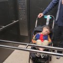 서울키즈치과의원 이미지