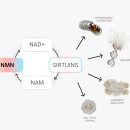 열린가정의학과의원 이미지
