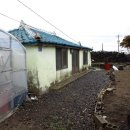 금성리 노인회관 이미지