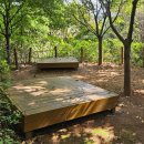 계룡산유아숲체험원 | 동탄 아이랑 갈만한 곳 동탄호수공원 유아숲체험원 주차장 놀이터 후기