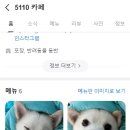 카페5110 이미지