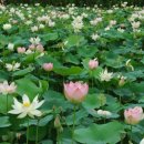 바른먹거리경산 네이버블로그
