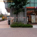 마포웰츠약국 이미지